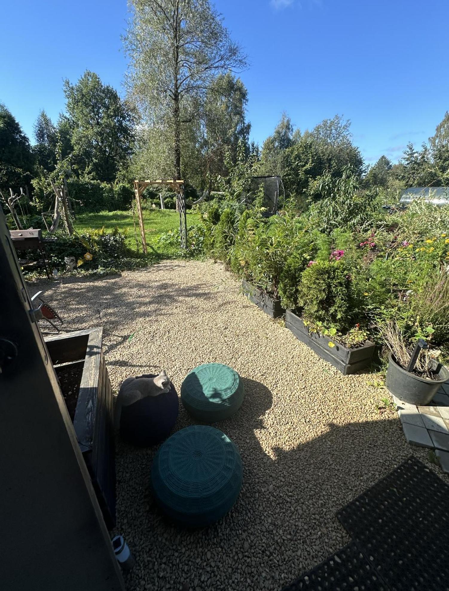 Вилла Amazing Little House On An Island With Garden Рига Экстерьер фото